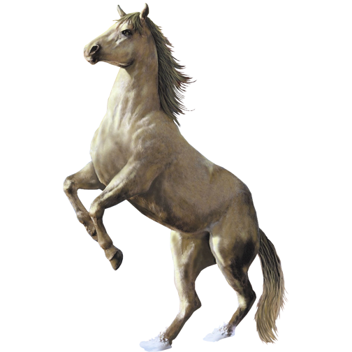 tube cheval dans eau Page 2 rub tube cheval dans eau 2